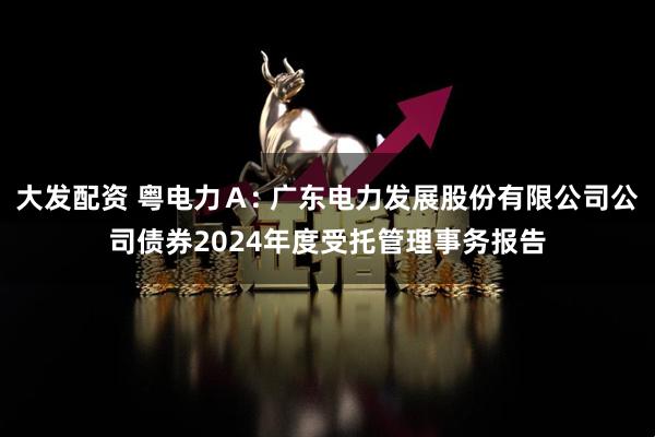 大发配资 粤电力Ａ: 广东电力发展股份有限公司公司债券2024年度受托管理事务报告