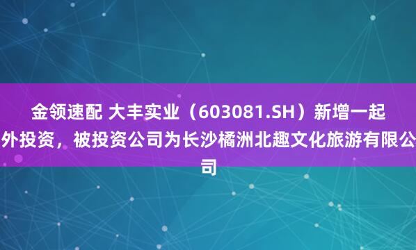 金领速配 大丰实业（603081.SH）新增一起对外投资，被投资公司为长沙橘洲北趣文化旅游有限公司